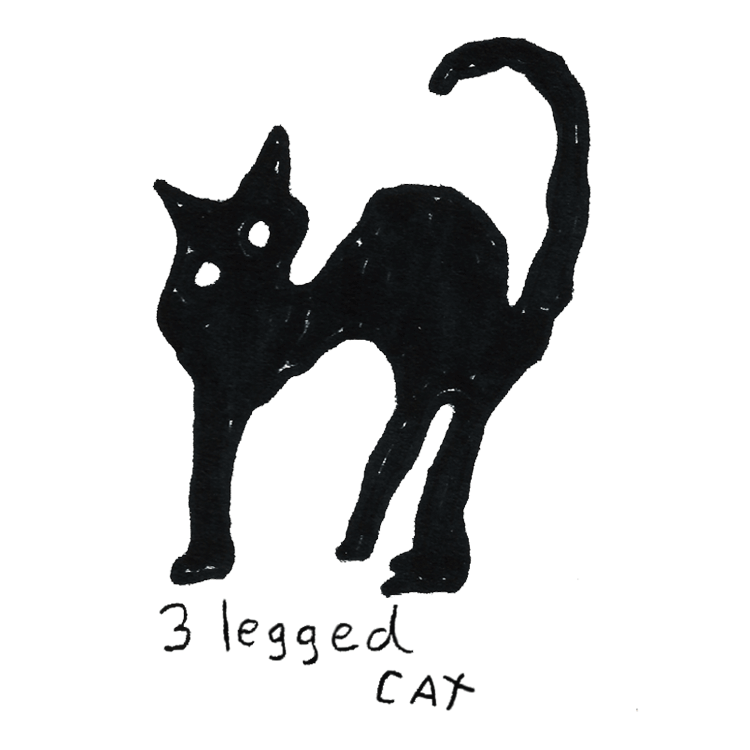 Gubler-drawn image of balck cat with three legs. Handwritten text that says “ 3 legged cat” on white background.